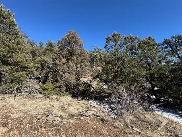 1214 Kevin Drive Cotopaxi, CO 81223