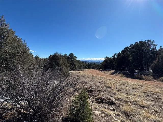 1214 Kevin Drive Cotopaxi, CO 81223