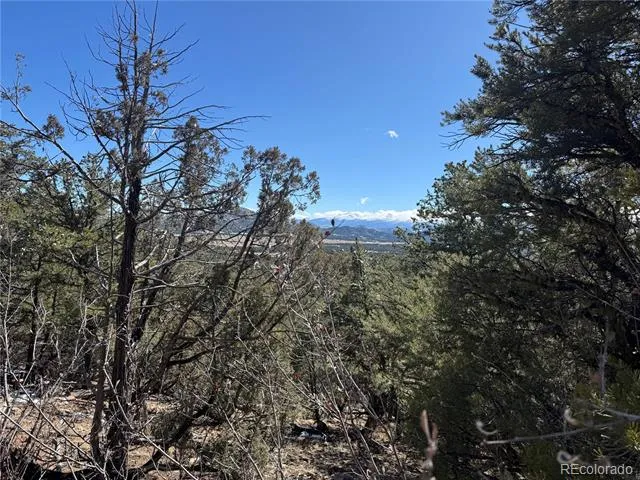 1214 Kevin Drive Cotopaxi, CO 81223