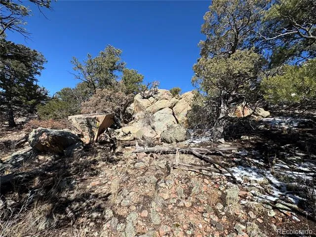 1214 Kevin Drive Cotopaxi, CO 81223