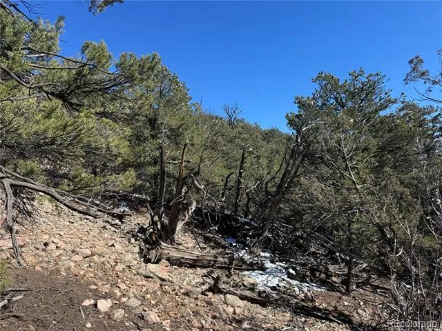 1214 Kevin Drive Cotopaxi, CO 81223