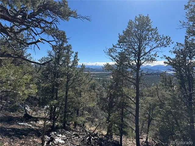 1214 Kevin Drive Cotopaxi, CO 81223