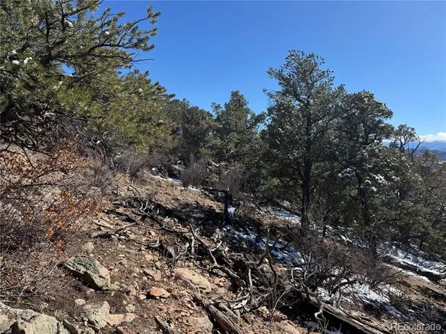 1214 Kevin Drive Cotopaxi, CO 81223