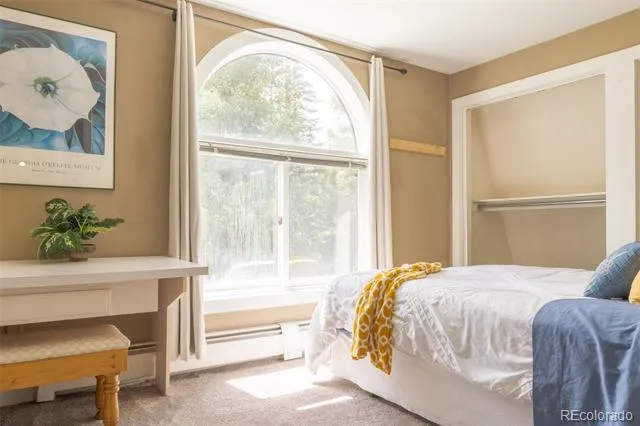 291 Doris Drive Breckenridge, CO 80424