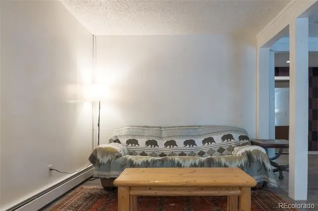 291 Doris Drive Breckenridge, CO 80424