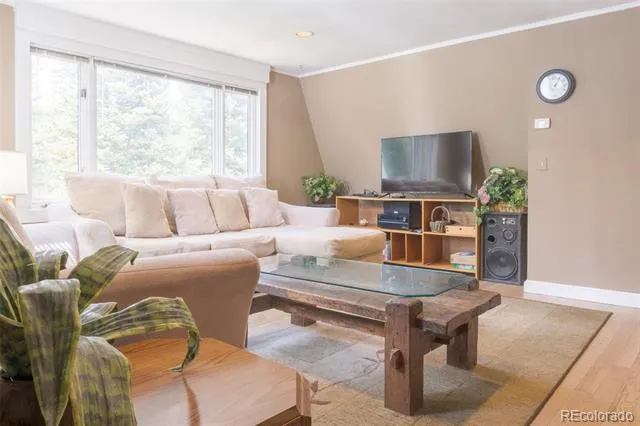 291 Doris Drive Breckenridge, CO 80424