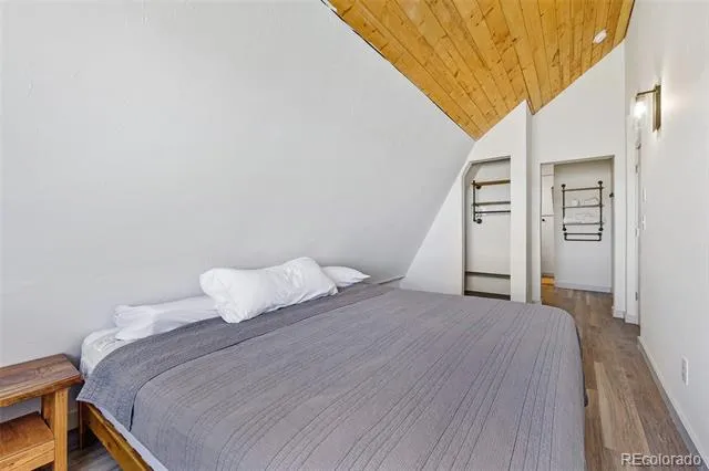 2125 James Lane Fairplay, CO 80440