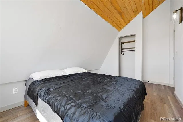 2125 James Lane Fairplay, CO 80440