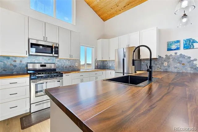 2125 James Lane Fairplay, CO 80440