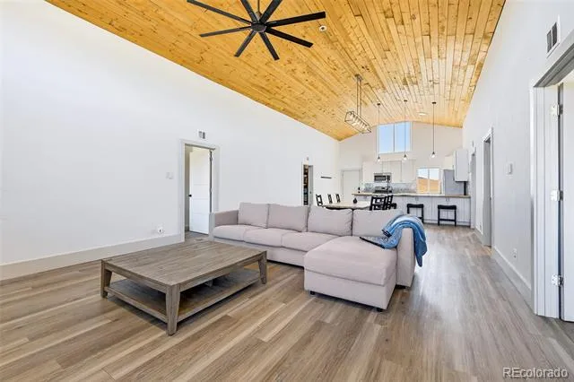 2125 James Lane Fairplay, CO 80440