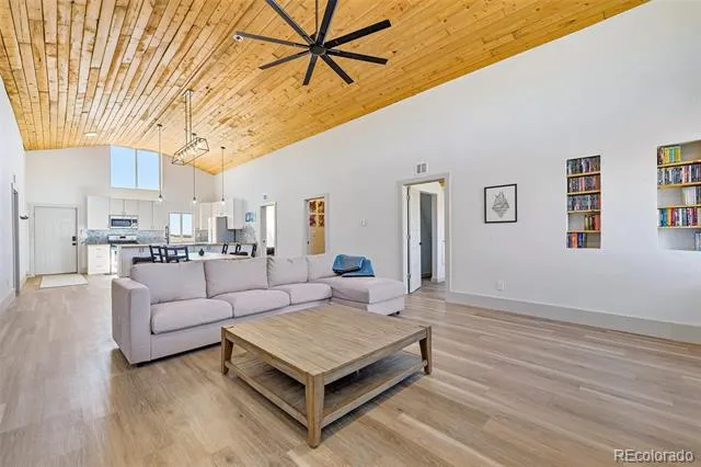 2125 James Lane Fairplay, CO 80440