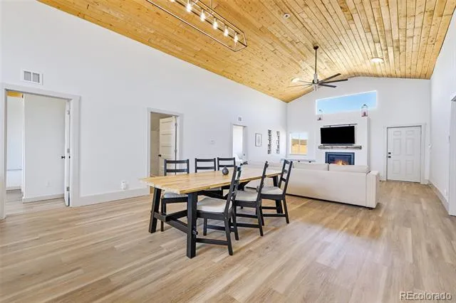 2125 James Lane Fairplay, CO 80440