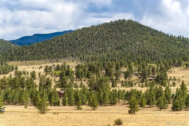 Pike View Drive Lake George, CO 80827