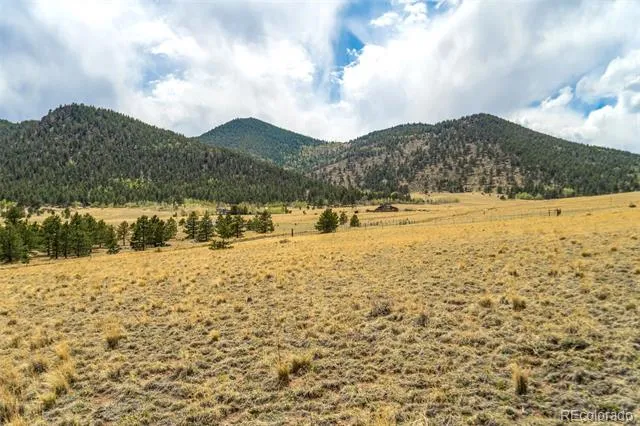 Pike View Drive Lake George, CO 80827