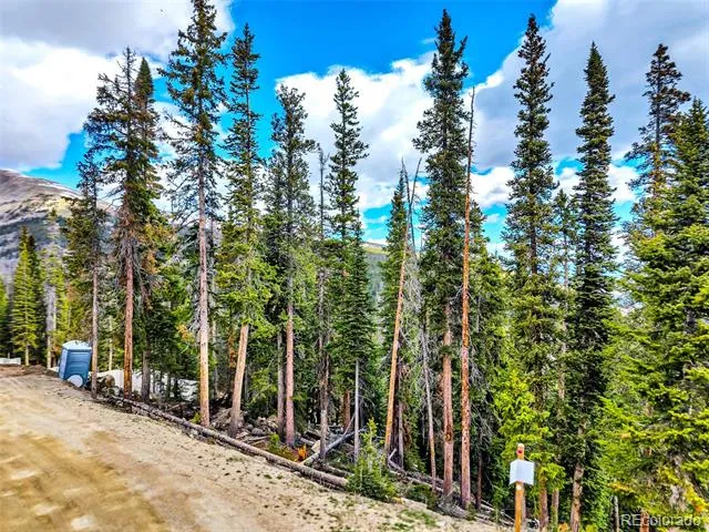 140 Quandary View Drive Breckenridge, CO 80424