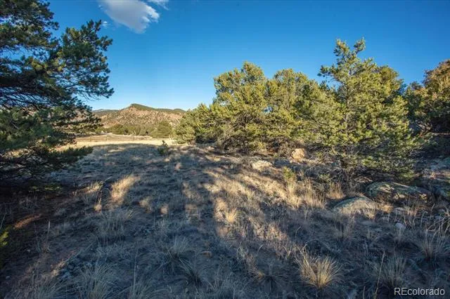 12740 County Road 195 Salida, CO 81201