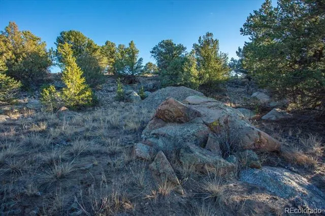 12740 County Road 195 Salida, CO 81201