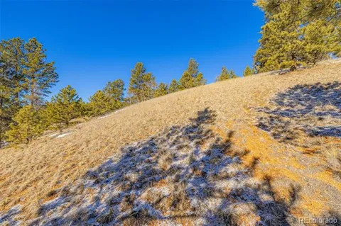 772 E Bison Creek Trail