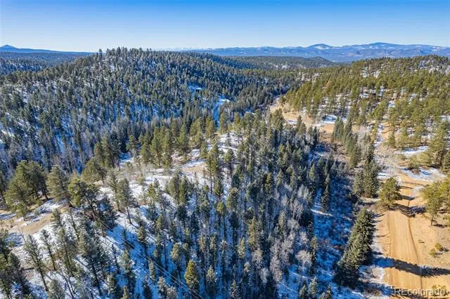 772 E Bison Creek Trail Florissant, CO 80816
