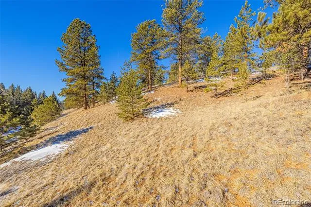 772 E Bison Creek Trail Florissant, CO 80816