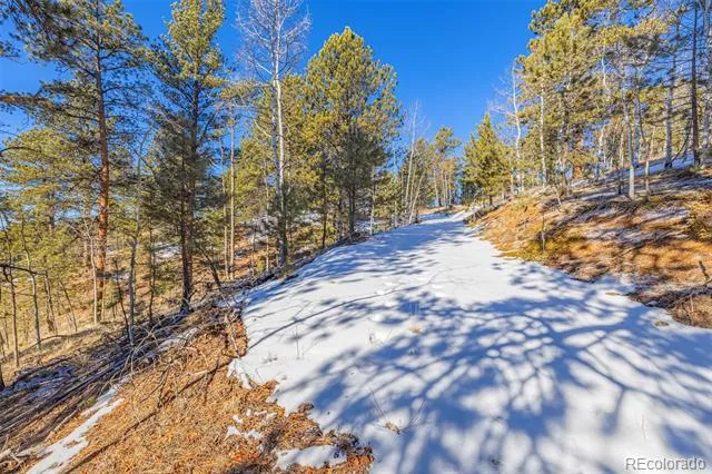 772 E Bison Creek Trail Florissant, CO 80816
