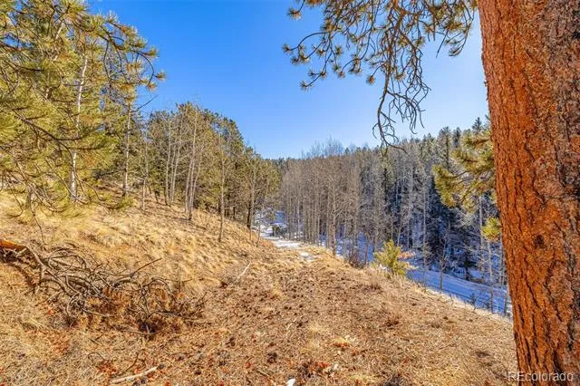 772 E Bison Creek Trail Florissant, CO 80816
