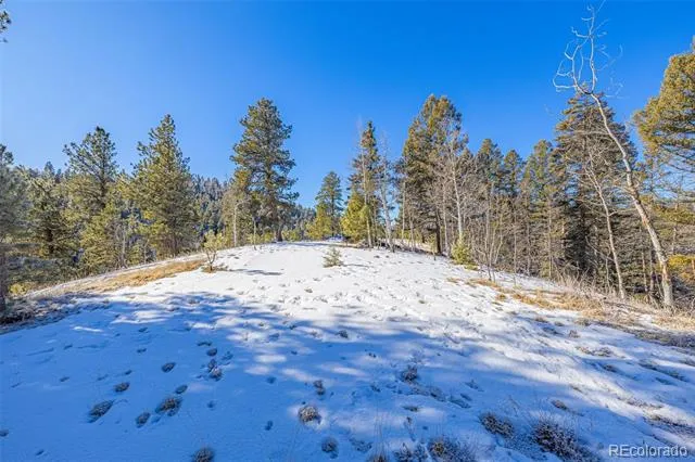 772 E Bison Creek Trail Florissant, CO 80816