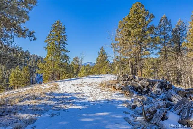 772 E Bison Creek Trail Florissant, CO 80816
