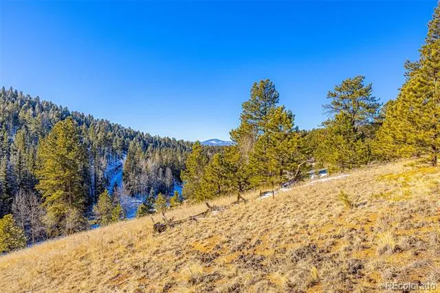 772 E Bison Creek Trail Florissant, CO 80816