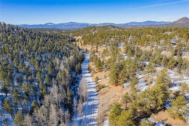 772 E Bison Creek Trail Florissant, CO 80816