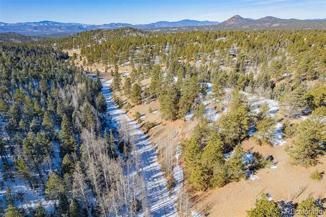 772 E Bison Creek Trail Florissant, CO 80816