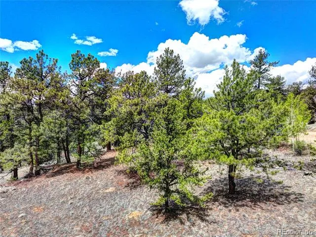 00 York Court Jefferson, CO 80456