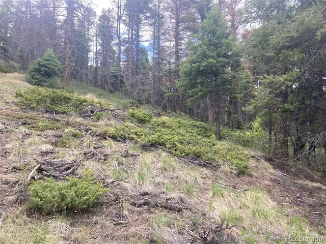 LOT 6328 Jacquez Road San Luis, CO 81152
