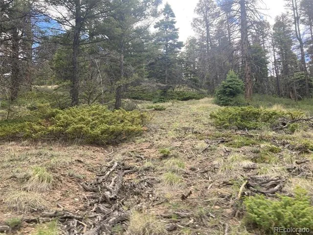 LOT 6328 Jacquez Road San Luis, CO 81152