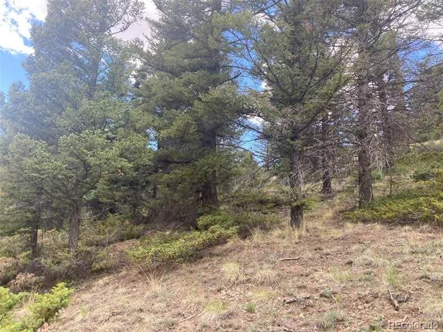 LOT 6328 Jacquez Road San Luis, CO 81152