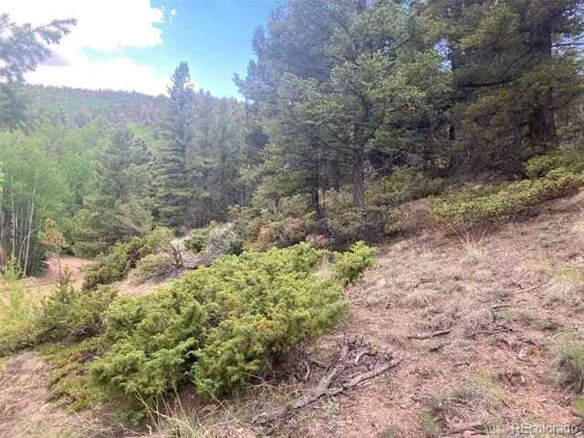 LOT 6328 Jacquez Road San Luis, CO 81152