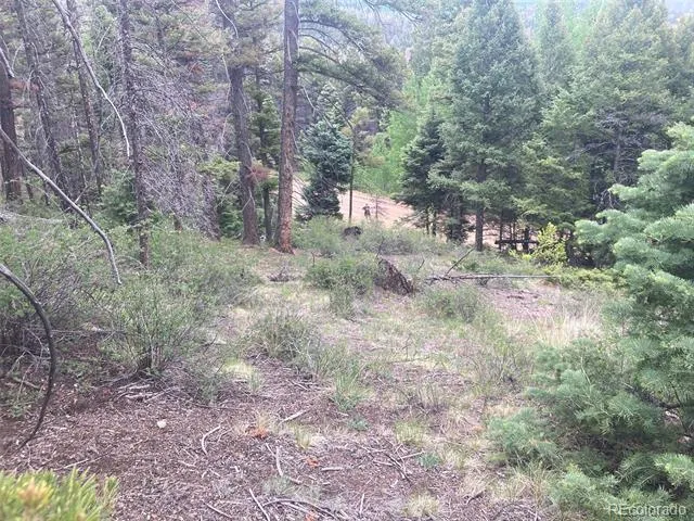 LOT 6328 Jacquez Road San Luis, CO 81152