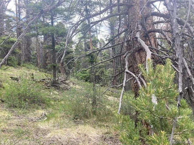 LOT 6328 Jacquez Road San Luis, CO 81152