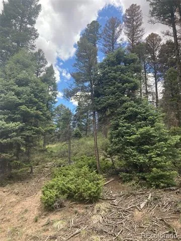 LOT 6328 Jacquez Road San Luis, CO 81152