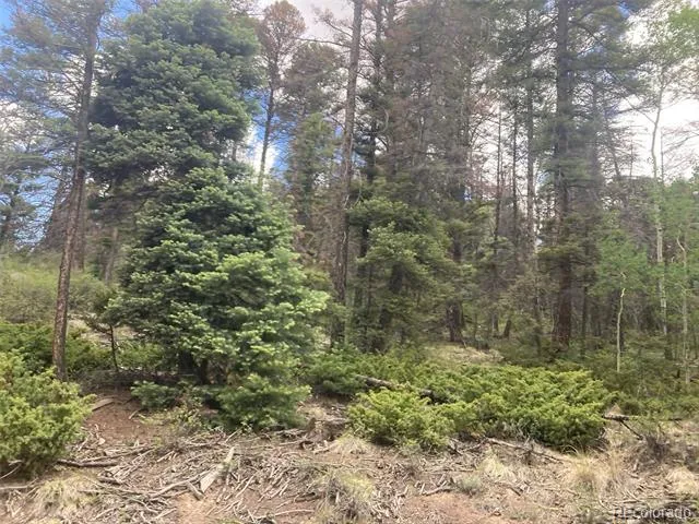 LOT 6328 Jacquez Road San Luis, CO 81152