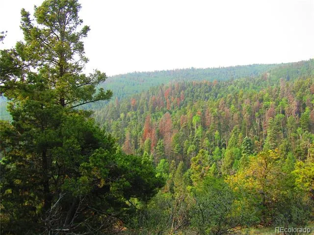 LOT 6328 Jacquez Road San Luis, CO 81152