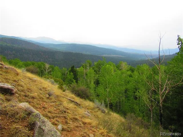 LOT 6328 Jacquez Road San Luis, CO 81152