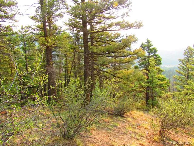 LOT 6328 Jacquez Road San Luis, CO 81152