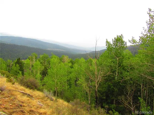 LOT 6328 Jacquez Road San Luis, CO 81152