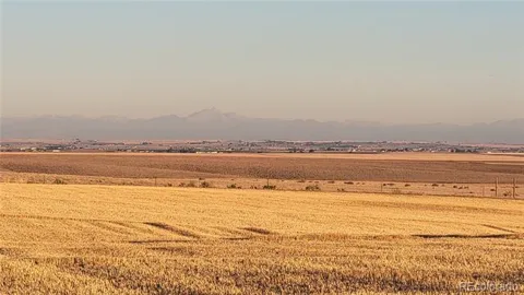 0 County Road 81