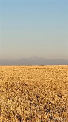 0 County Road 81 Roggen, CO 80652