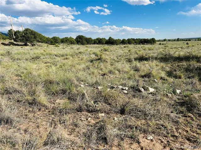 Lots 2-3 Blk 59 Crestone, CO 81131
