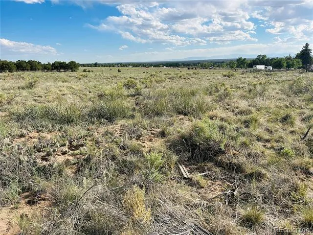 Lots 2-3 Blk 59 Crestone, CO 81131