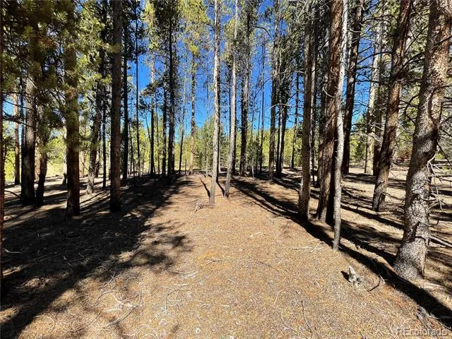 300 Virginia Avenue Leadville, CO 80461
