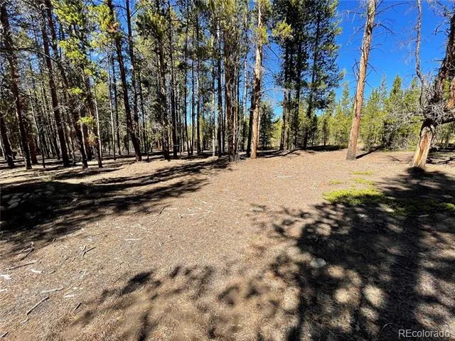300 Virginia Avenue Leadville, CO 80461